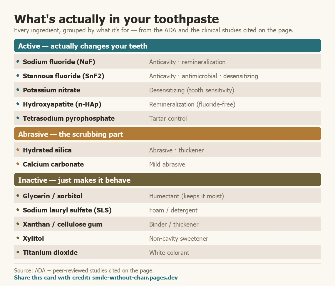 Reference card grouping twelve common toothpaste ingredients by role: active ingredients that change your teeth (sodium and stannous fluoride, potassium nitrate, hydroxyapatite, tetrasodium pyrophosphate), abrasives (hydrated silica, calcium carbonate), and inactive ingredients (glycerin or sorbitol, sodium lauryl sulfate, xanthan or cellulose gum, xylitol, titanium dioxide), each with its function.